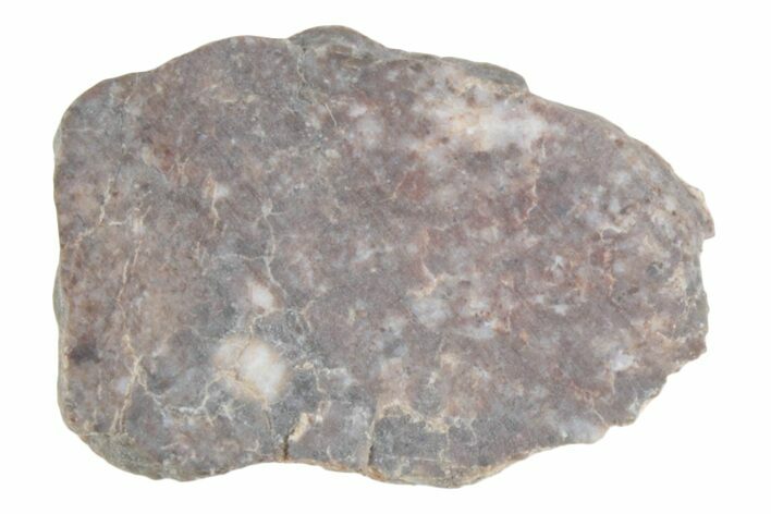 Lunar Meteorite ( g) Slice - Laayoune #381706